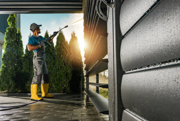 Best Driveway Pressure Washing  in Verona Walk, FL